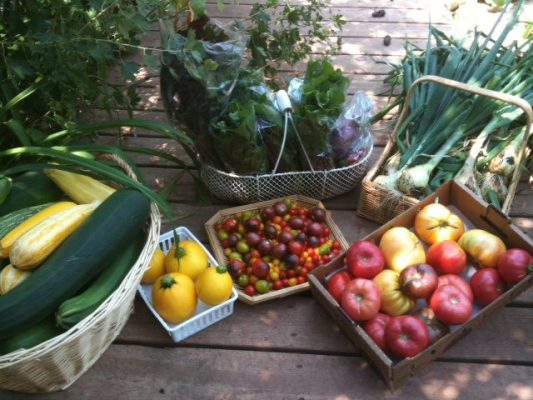 Crates of heirloom vegetables from Spear S Produce